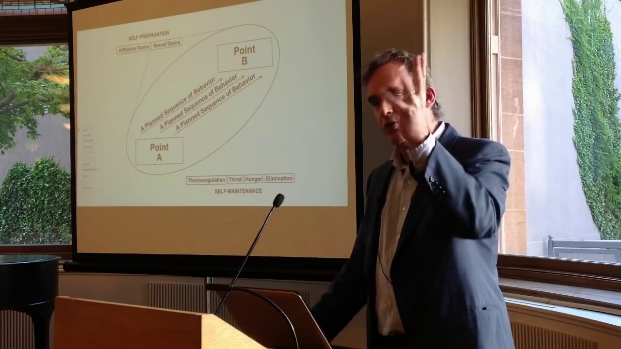 Jordan Peterson 