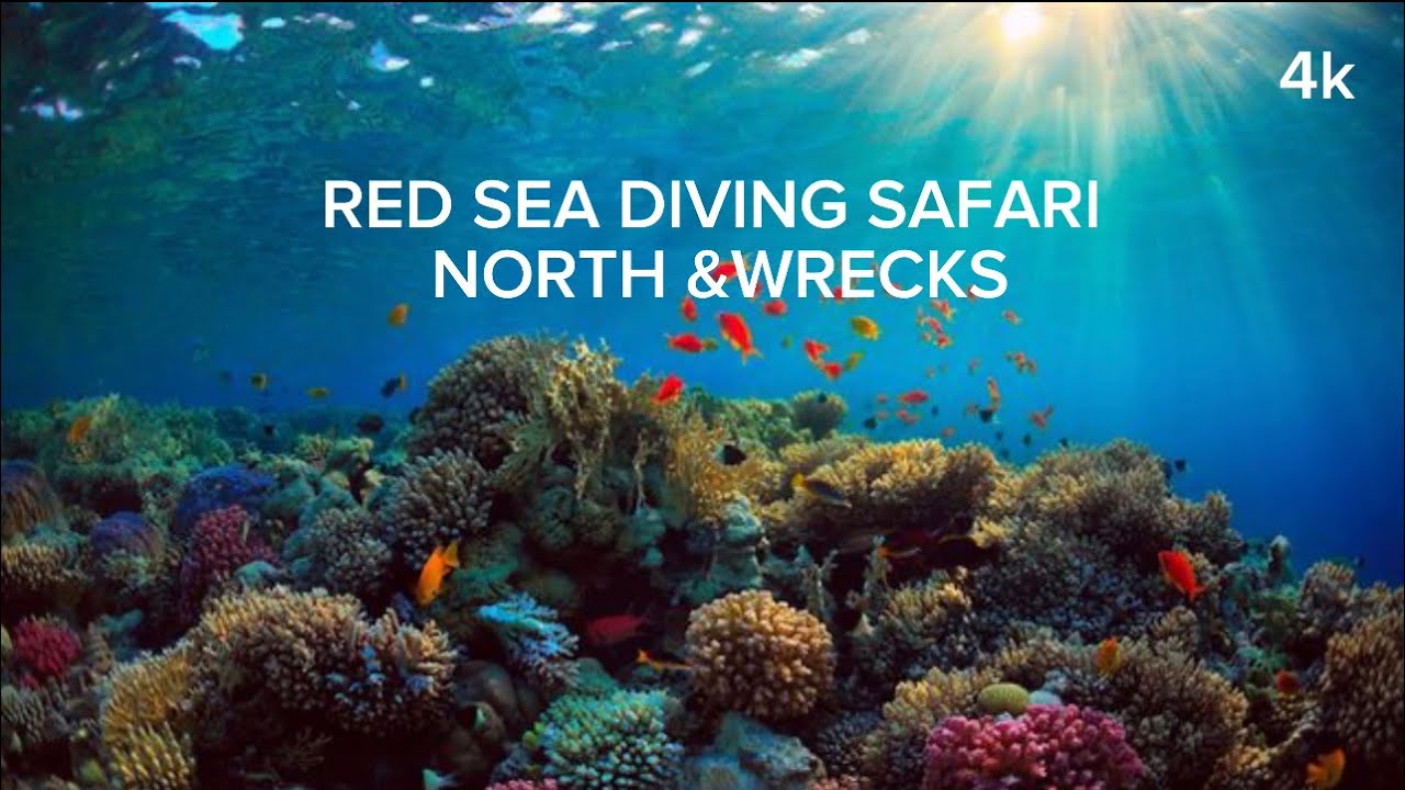 Red Sea Northern Wrecks and Reefs
