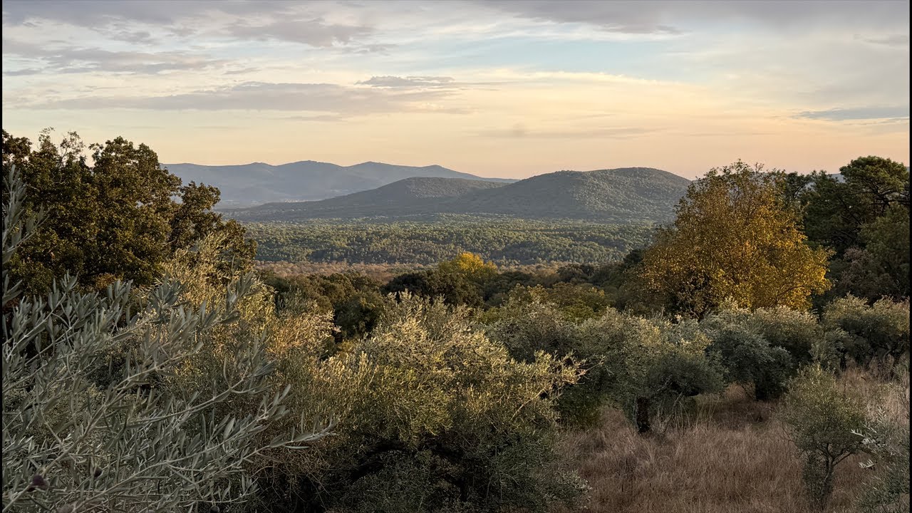 Un Atardecer por Piedralaves#directo