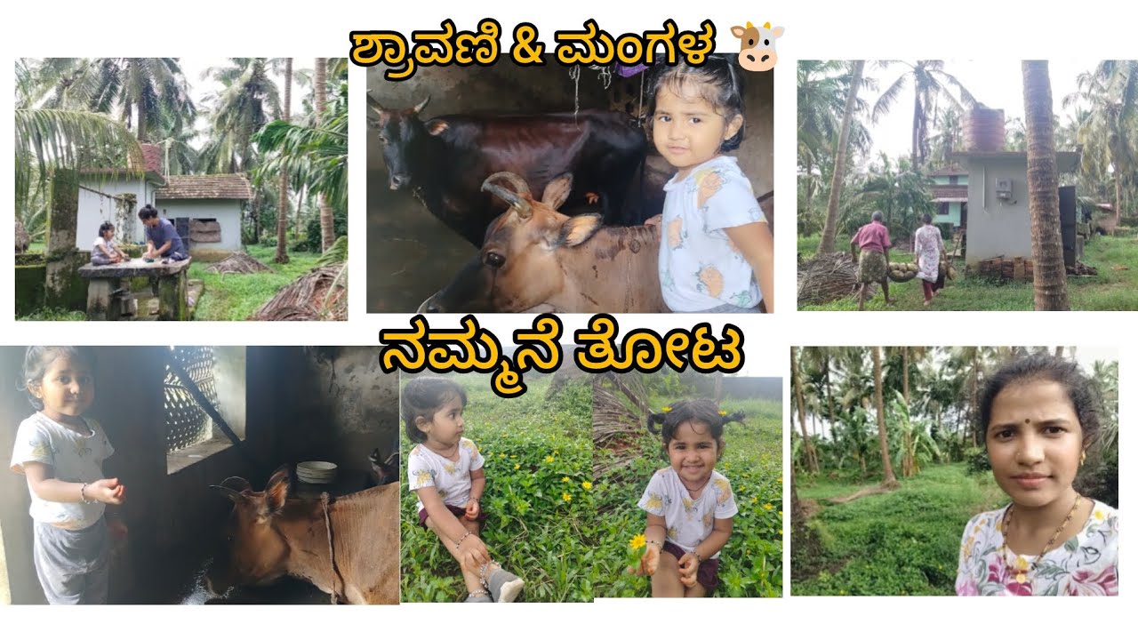 ನಮ್ಮ ಹಳ್ಳಿ ಜೀವನ ಎಷ್ಟು ಚೆಂದ ಅಲ್ವಾ 😍-daily vlog with our family 