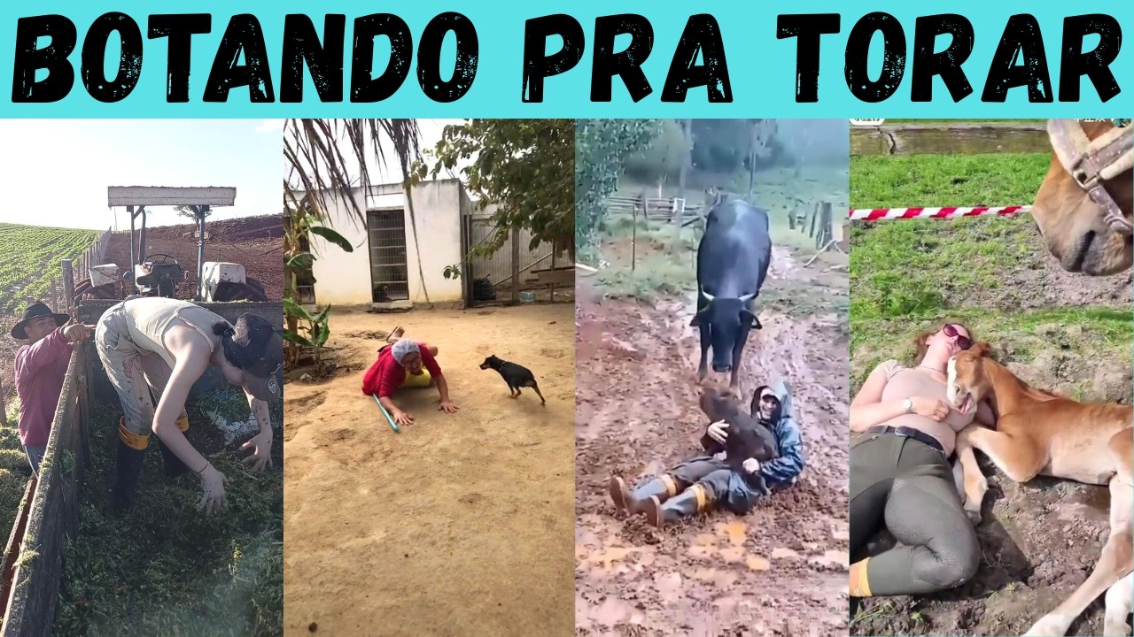 COM&Eacute;DIAS da RO&Ccedil;A: a inf&acirc;ncia ainda n&atilde;o passou para esses malucos!