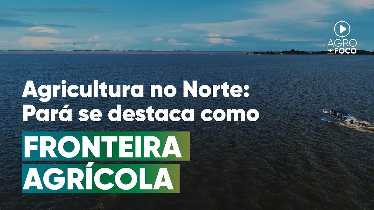 Conheça o promissor cenário agrícola de Santarém - PA - Agro Em Foco #107