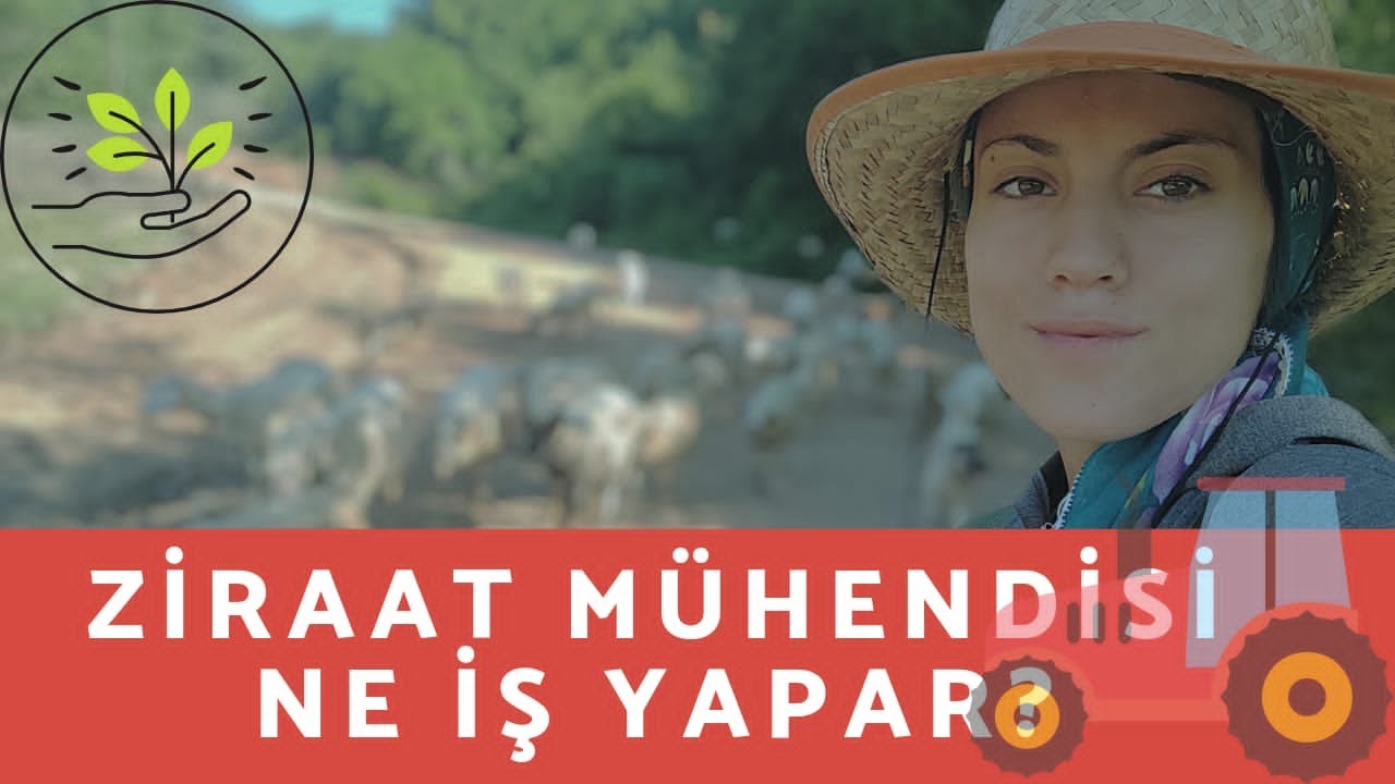 TARIM EKONOMİSİ BÖLÜMÜ NEDİR? ZİRAAT MÜHENDESİ NE İŞ YAPAR? #yks2021 #AnkaraÜniversitesi