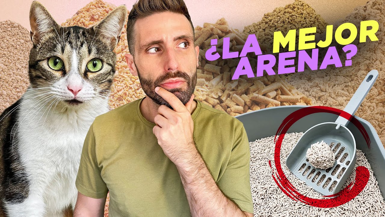 PROBANDO 5 tipos de ARENAS PARA GATOS: normal, tofu, maíz, madera y papel 🐱🏖️| ¿Cuál me gustó más?