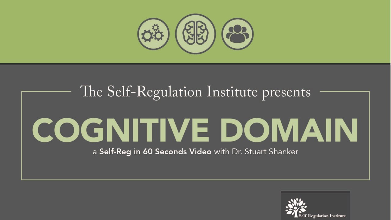 The Cognitive Domain | Self Regulation Institute with Dr. Stuart Shanker