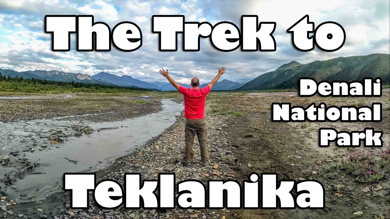 Ep. 16 - [Alaska RV Trip] - Denali Sled Dog Kennels - Teklanika River Campground
