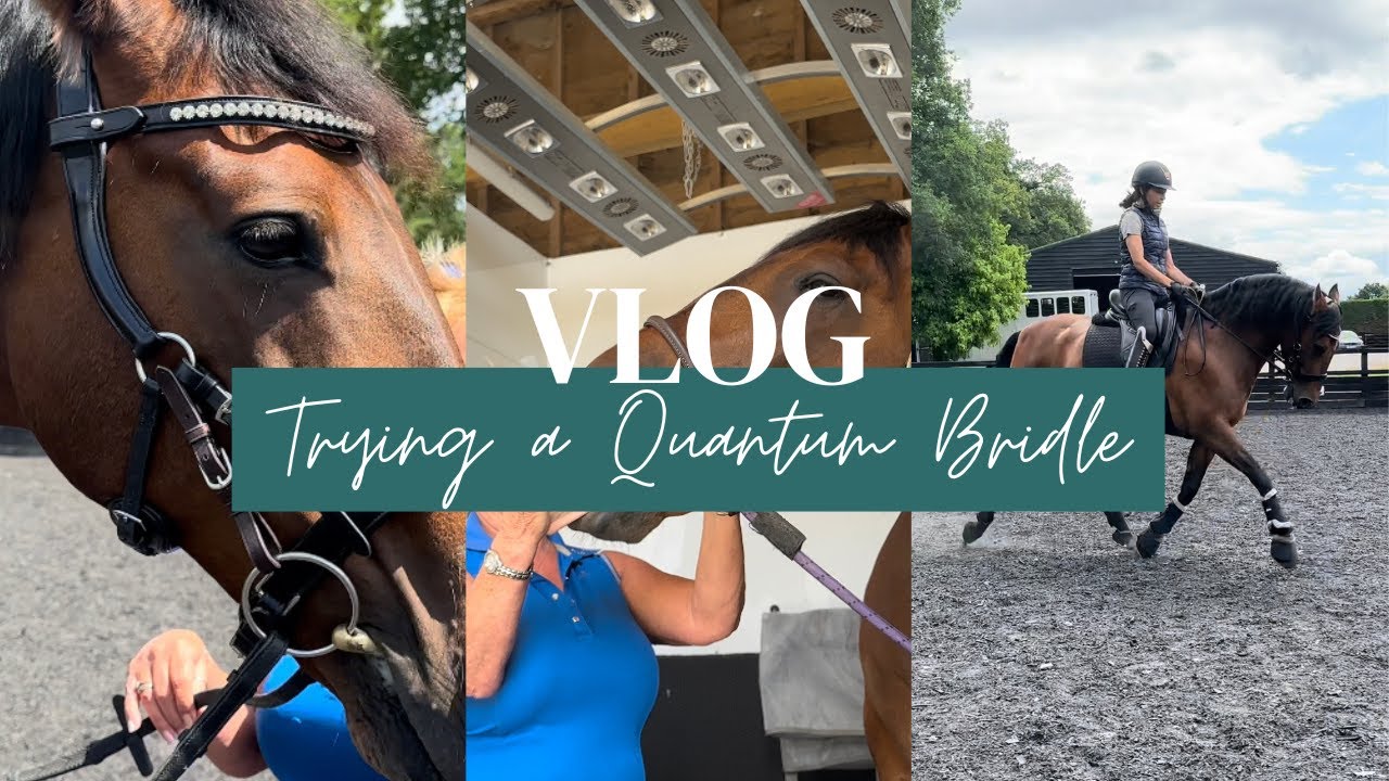 TRY A QUANTUM BRIDLE WITH ME | Vet Physio Phyle Vlog