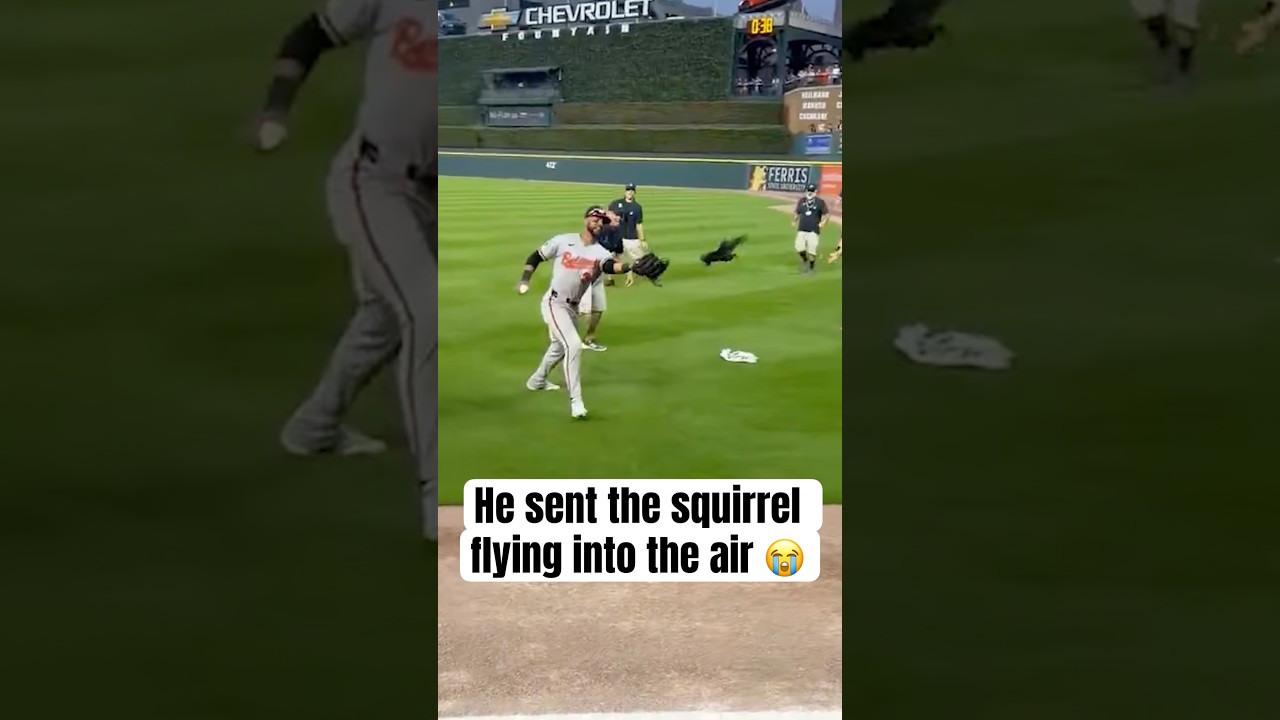 Now that&rsquo;s what we call a flying squirrel 😎🤣
