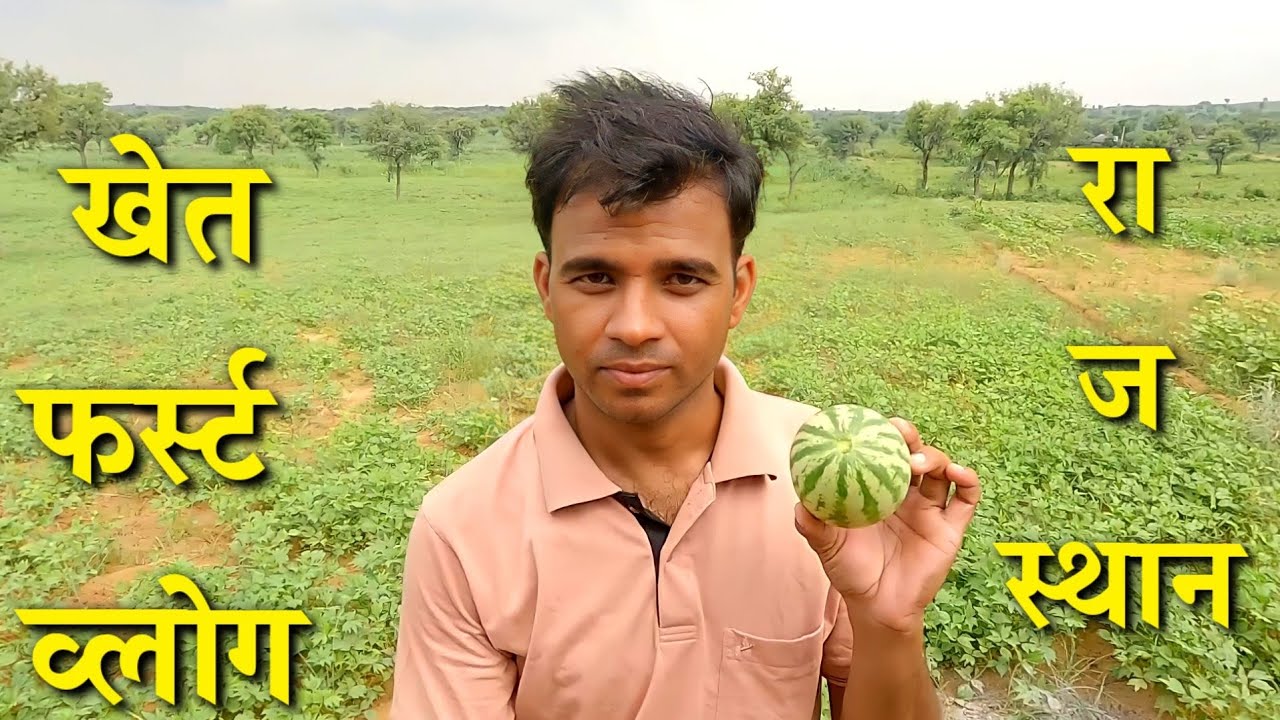 khet me phla vlog || Rajasthan Khet Vlog First vlog Khet