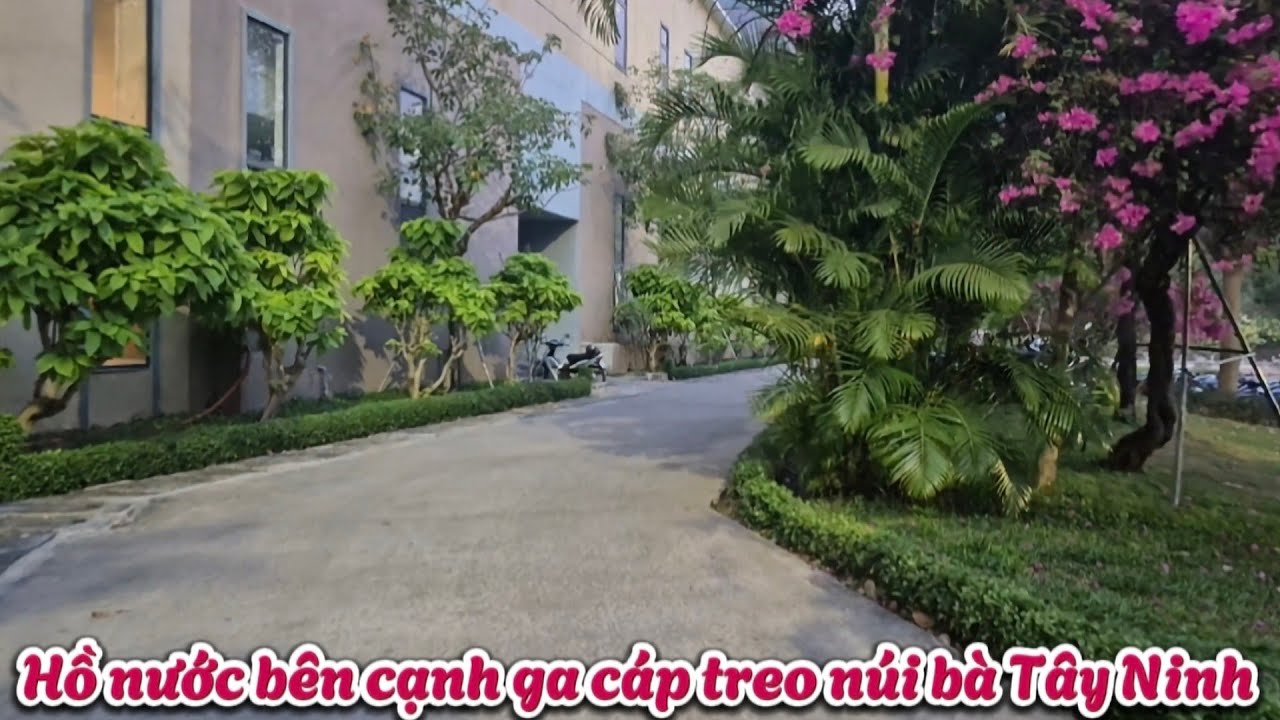 Mùng 8 tháng giêng tại núi bà vắng khách thăm quan và hồ nước bên cạnh ga cáp treo núi bà Tây Ninh
