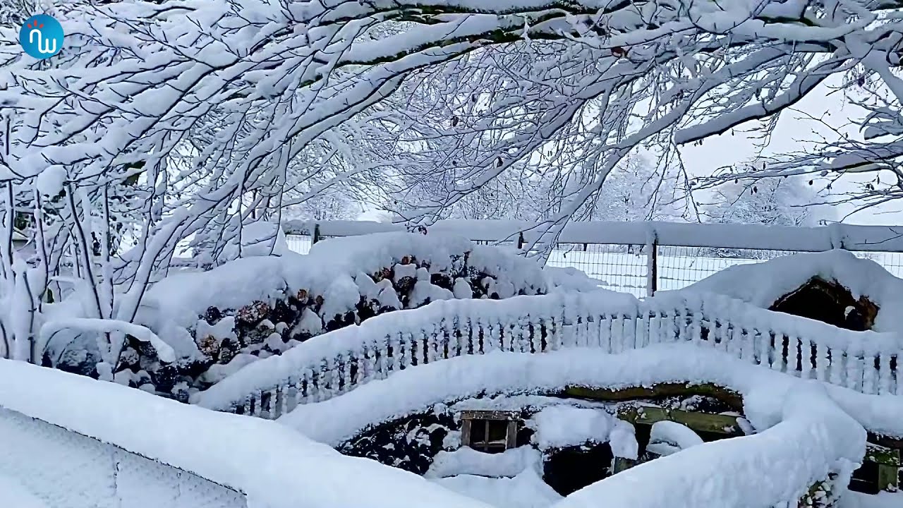 Flink pak sneeuw in de Ardennen. Wondermooie beelden! (080122)