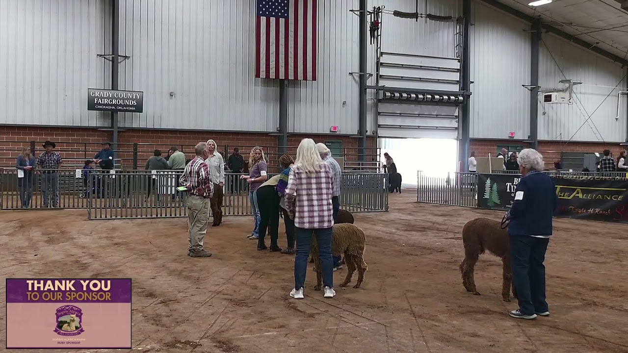 2025 Mazuri AOA National Alpaca Show