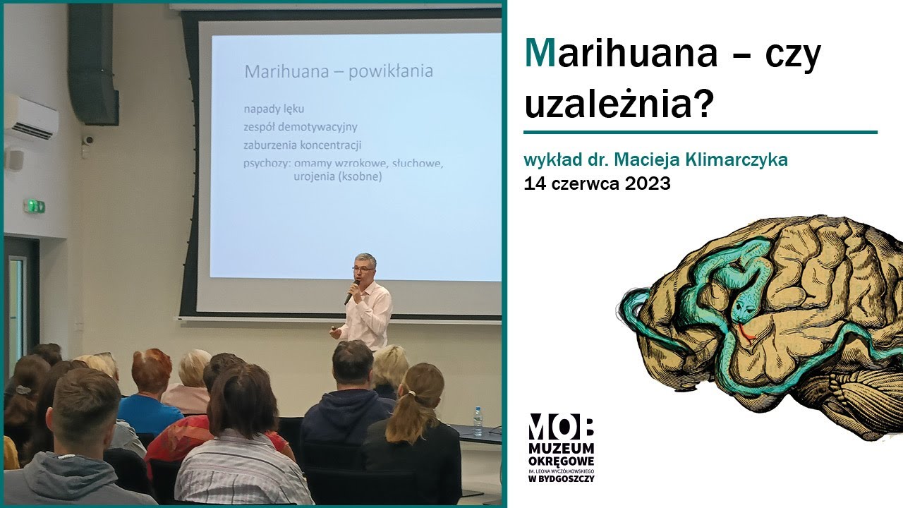 Marihuana - czy uzależnia? Jakie mogą być skutki?  Jak się leczy takie uzależnienie? Dr Klimarczyk