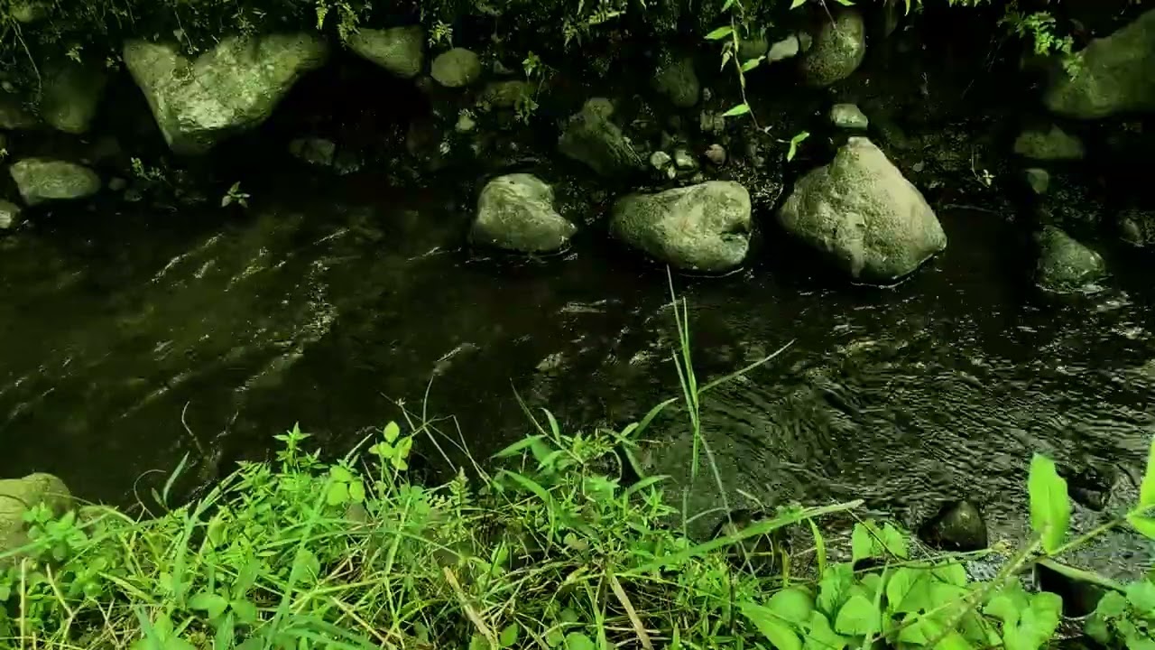 Te Dormirás en Minutos – Relaxing River Sounds con Río Fluyendo para Relajación Total