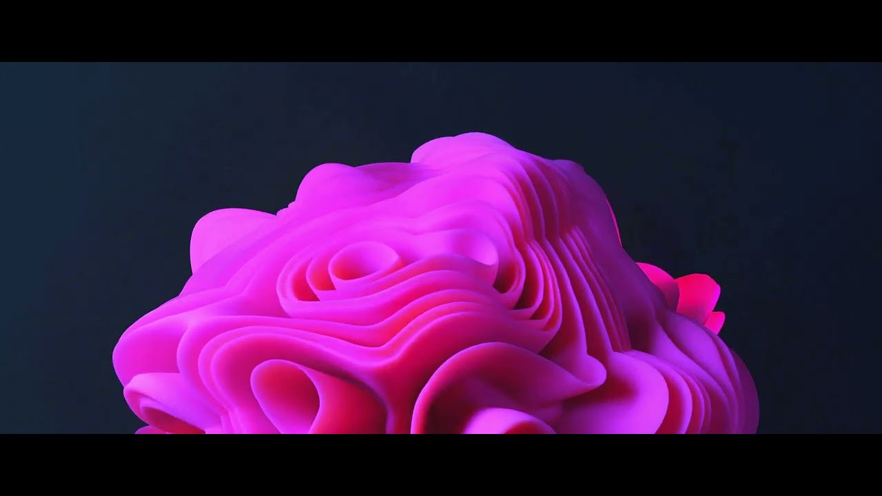 Luis Mint - flores, chocolates y un besito (Visualizer)