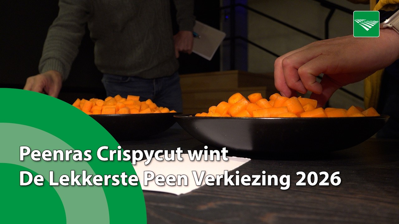 Peenras Crispycut wint De Lekkerste Peen Verkiezing 2026