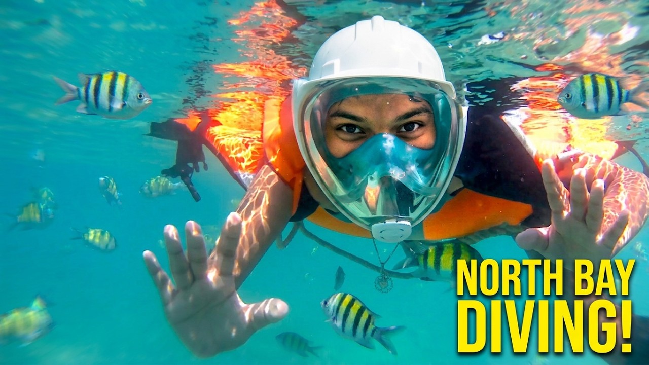 Scuba Driver  | enjoying | masti | north bay | andaman | underwater | coral | fish | 