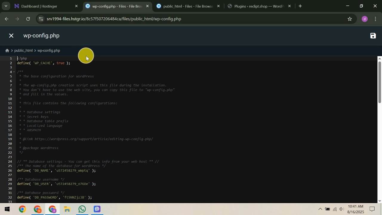 How To Enable WP Debug Mode in Hostinger