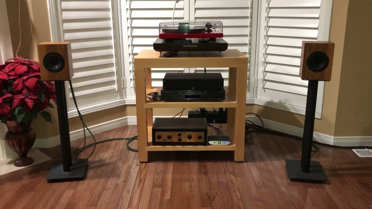 EICO HF-81  EL84. Trenner and Friedl Suns.  Muddy Waters “The Same Thing”