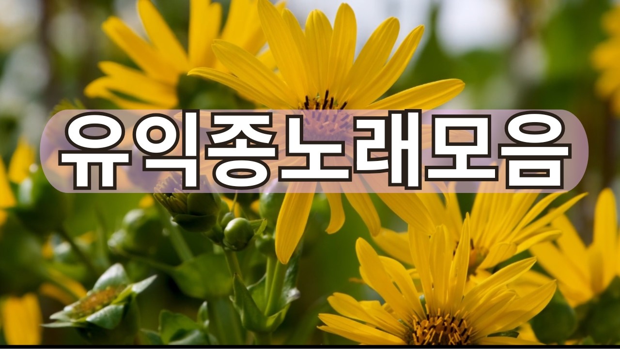 유익종 노래모음 #5060 #유익종 #추억의노래