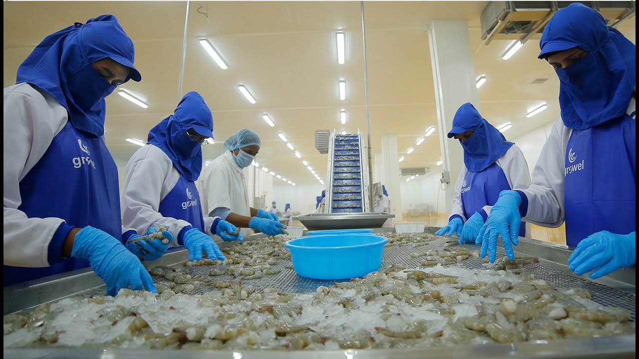 Growel Processors Corporate Film