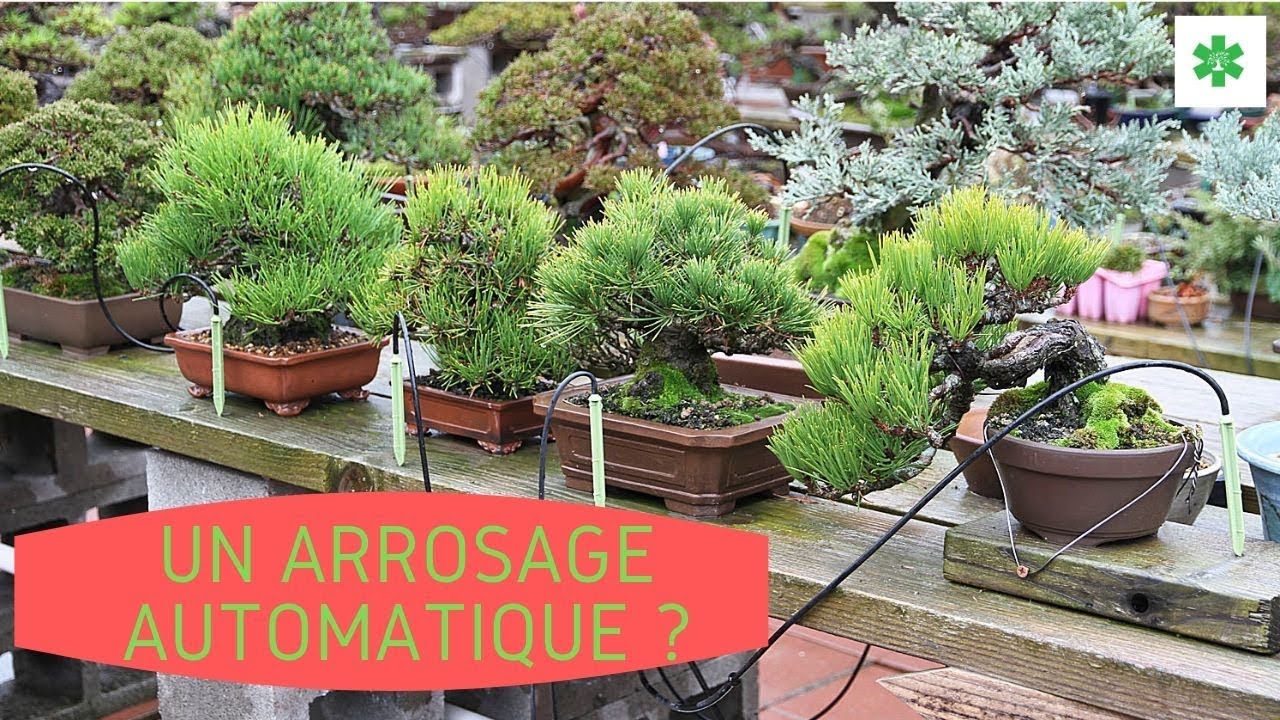 Un ARROSAGE AUTOMATIQUE pour les VACANCES :
