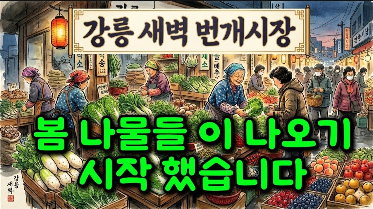 강릉 에서 매일 아침 남대천 변 에서 열리는 새벽 번개 시장  봄 나물 들이 쏟아져 나오고 있습니다 