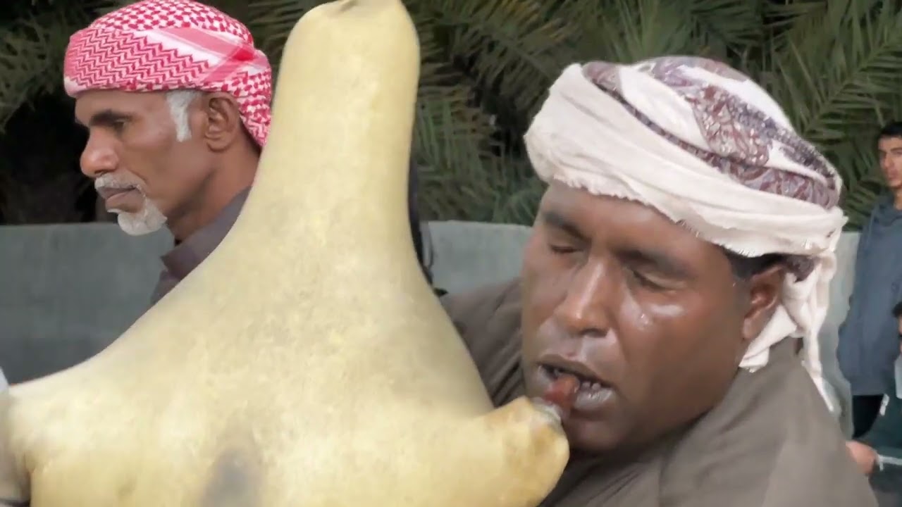 هبان ساحب بوخليل_ نخل جمال