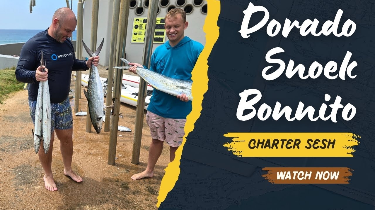 Couta, Dorado, Bonito and Snoek, what a session...