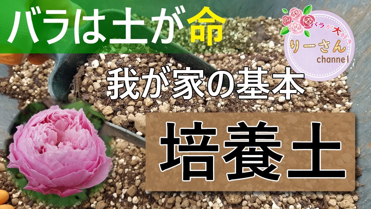 オリジナルバラの土作り！【自分のバラに合った土を配合しよう】レシピ紹介します＾＾