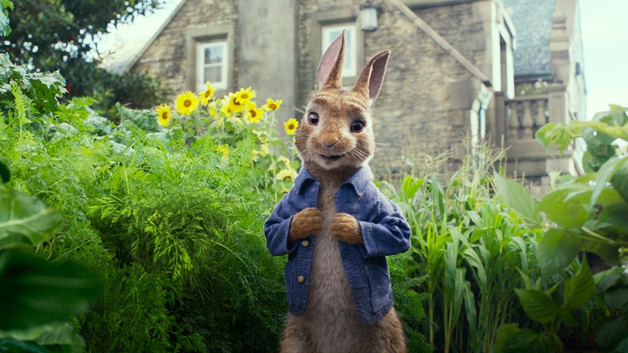 PETER RABBIT - International Trailer #1 - In cinemas March 2018