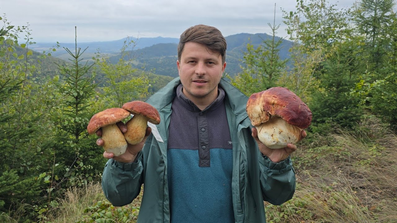 FUNGHI PORCINI | Bombe dell'anno!