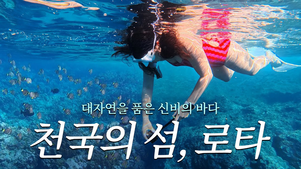 푸른빛의 향연, 로타🐚 하얀 모래 바다부터 신비로운 동굴 탐험까지🫧
