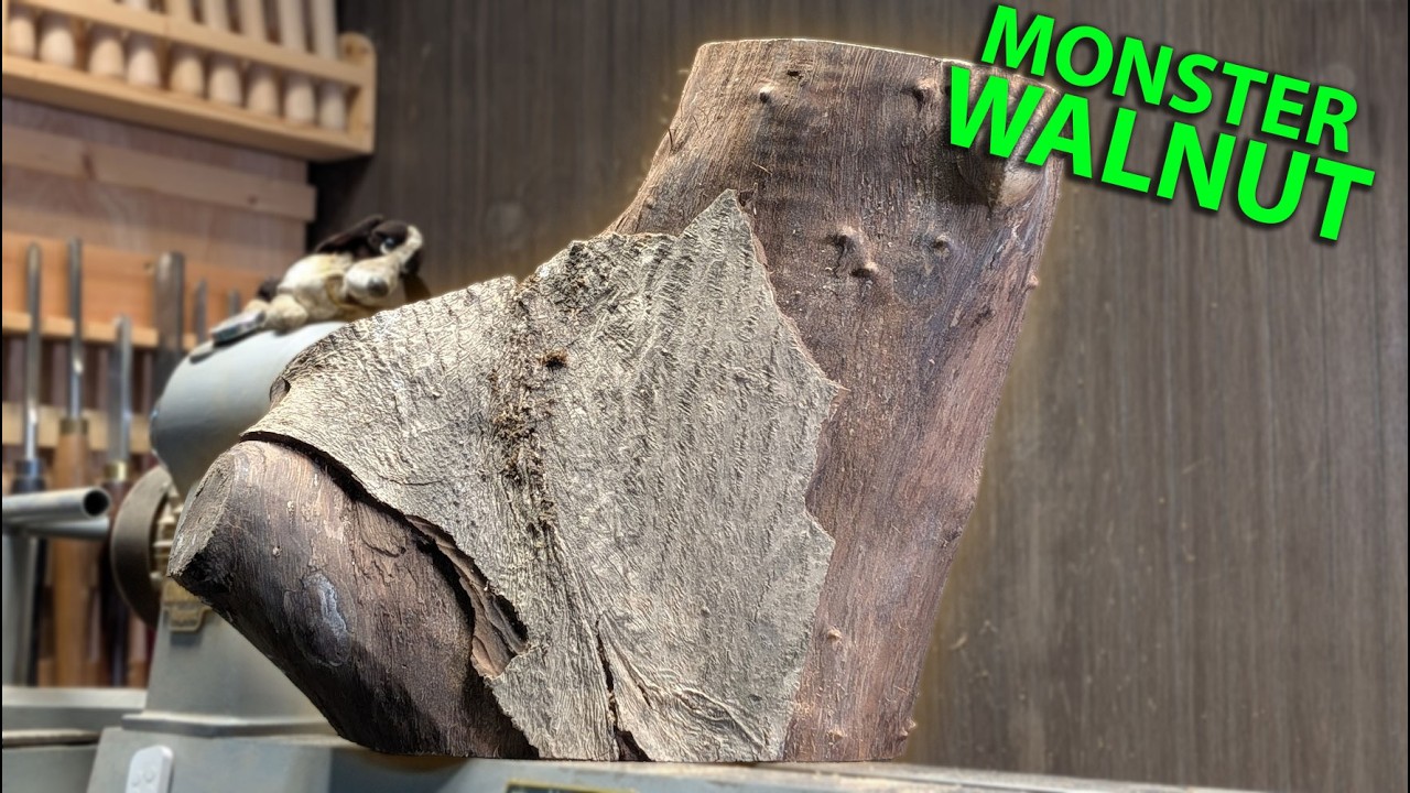 English walnut crotch - Totally unexpected result!! (4th Anniversary giveaway)
