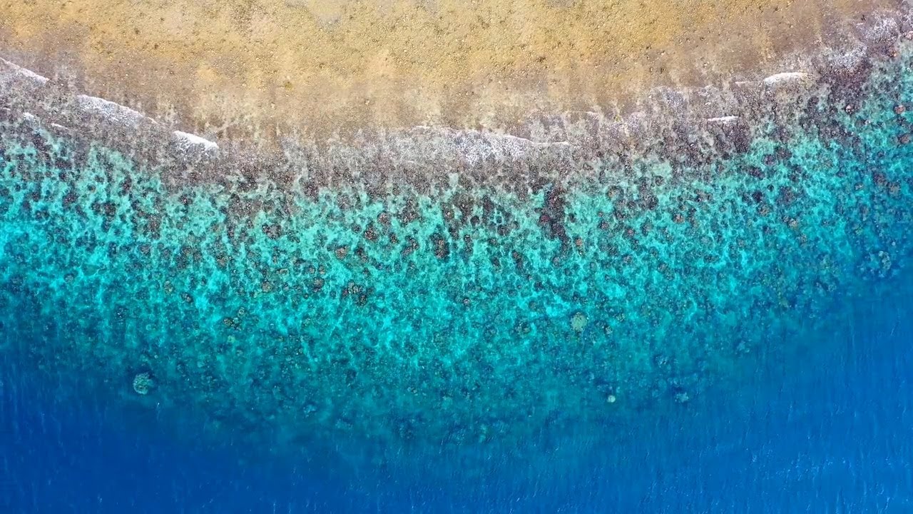 海戀 Love of the Sea　アジアの歌姫  鄧麗君 Teresa Teng テレサ・テン (日曲「浜辺の歌」)