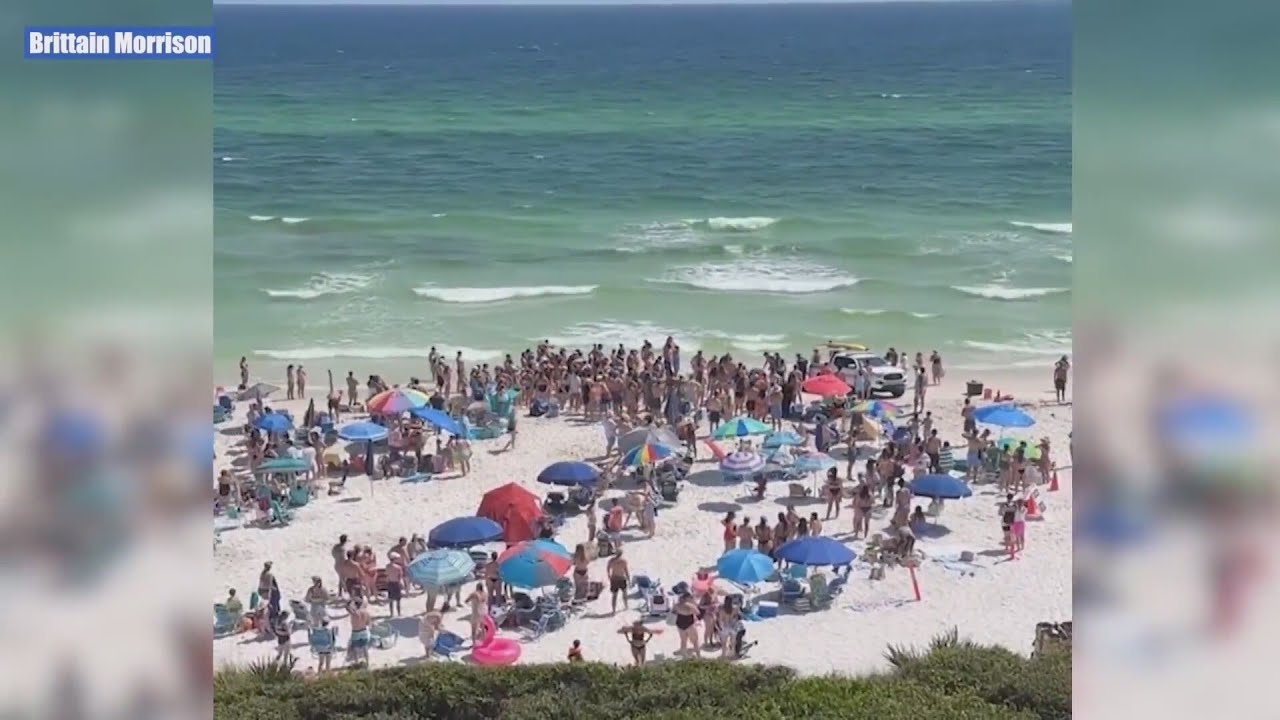 Alabama twin recalls shark attack: 'The entire ocean was red'