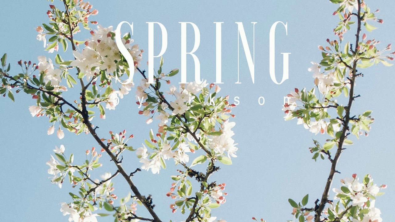 #54 Spring (Official)