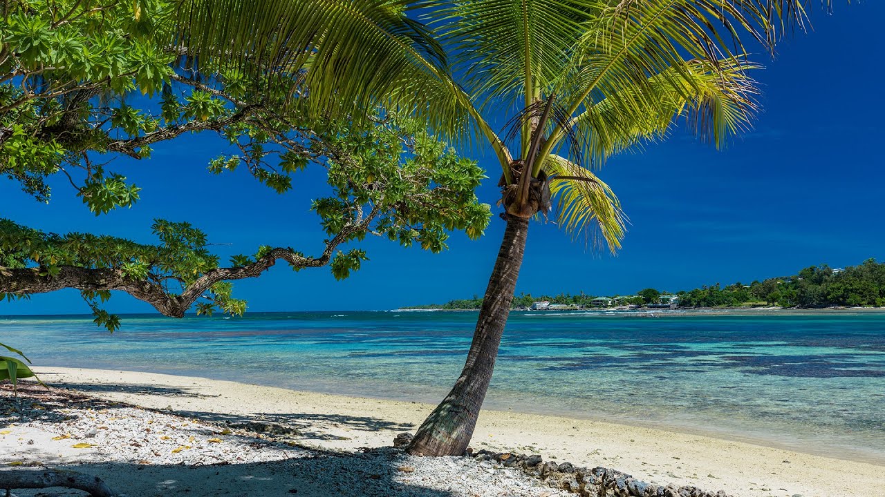 Tropical Beach Bossa Nova Vibes 🌞 Relaxing Jazz Music for Summer Seashore Chill and Seaside Escape