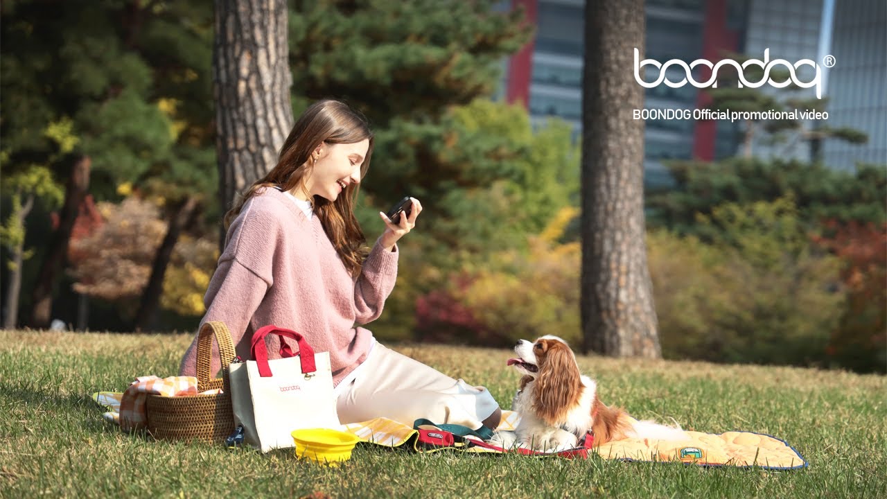 2024분독 공식홍보영상 #분독 We make a good walk culture BOONDOG