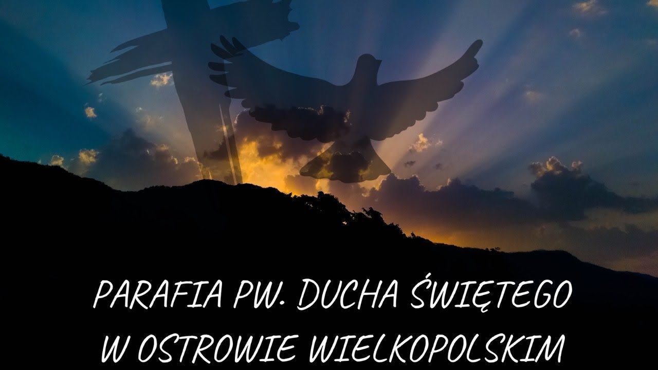 01.02.2026 | Niedzielna Eucharystia - transmisja na żywo
