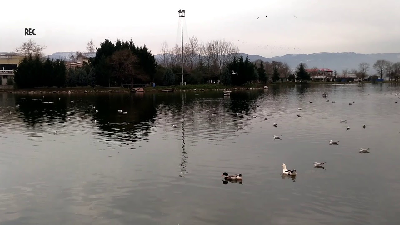Kocaeli fuar G&ouml;l&uuml; ve misafirleri