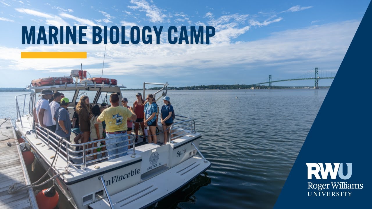 Marine Biology Summer Camp at Roger Williams University