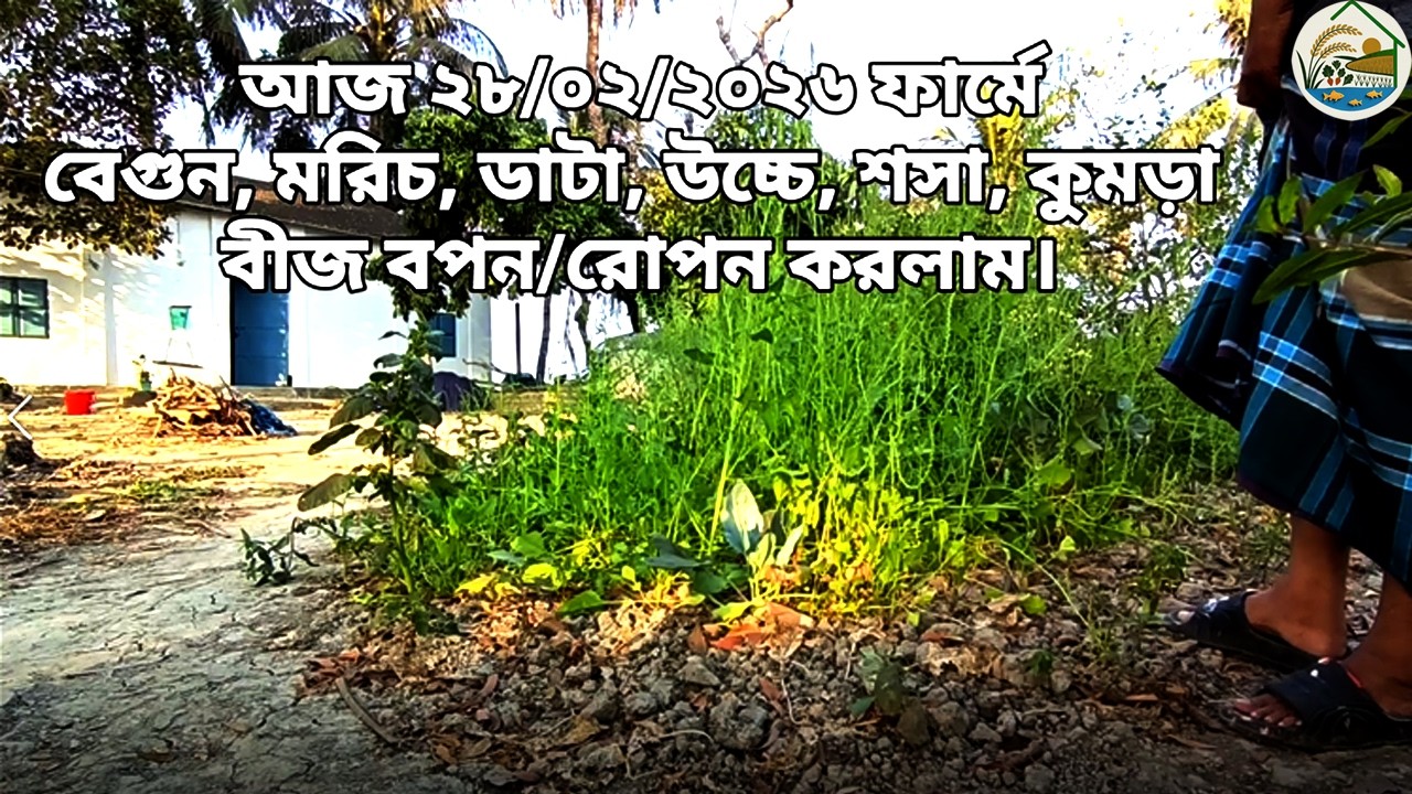 ফার্মে নতুন সবজির বীজ বপন করলাম ও কিছু চারা রোপন করলাম। Vegetable farming। Farm to Home