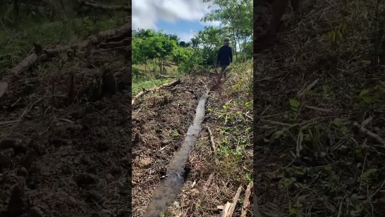 New line of water source for a new project #landscaping #stream #freshwater #river #farmimprovement