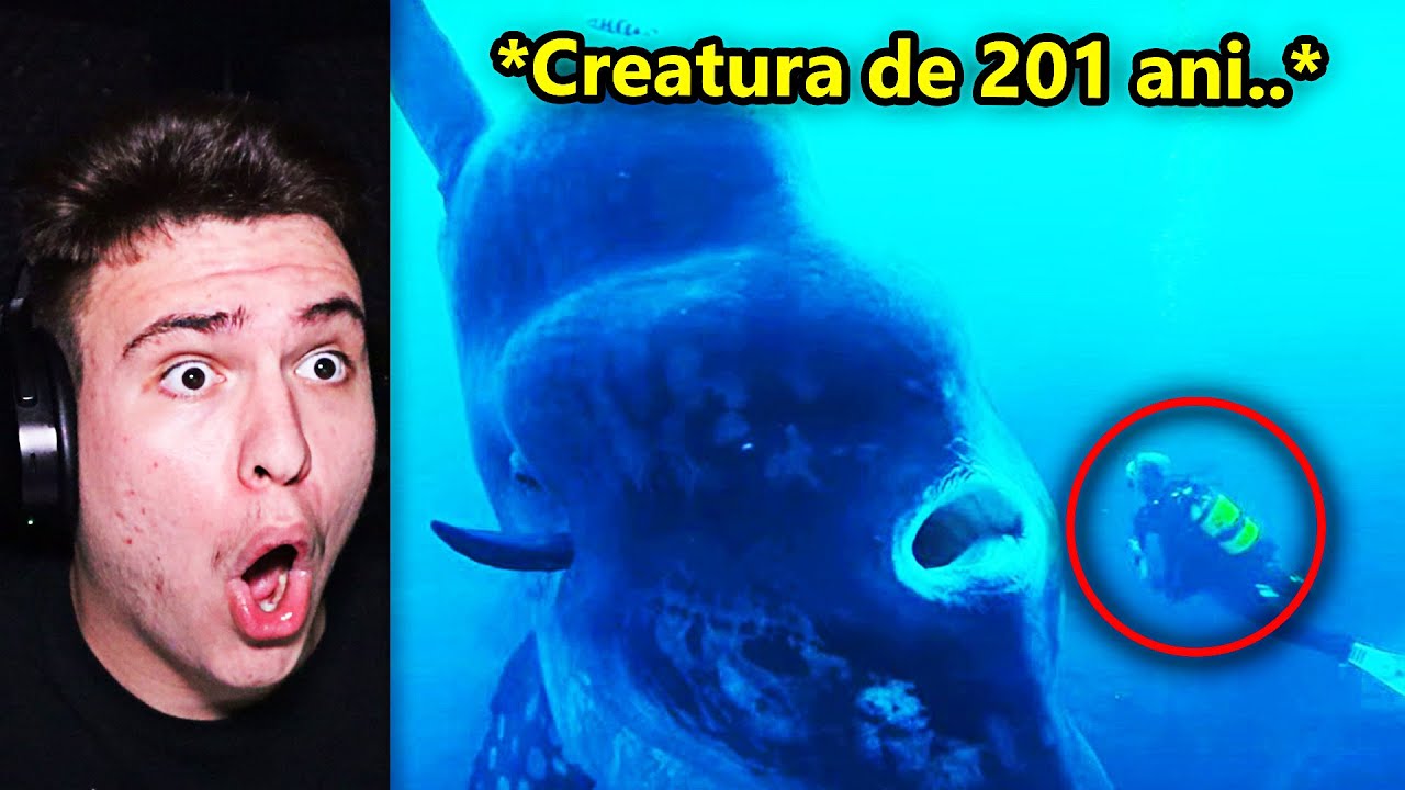 Cele Mai Horror & Gigantice Creaturi Găsite &Icirc;n Ocean...