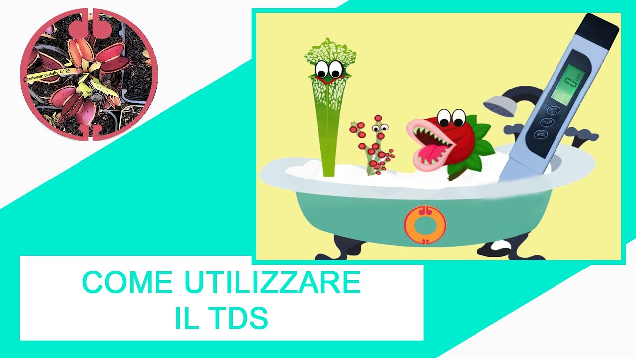 [TUTORIAL] Come utilizzare il TDS (Acqua)