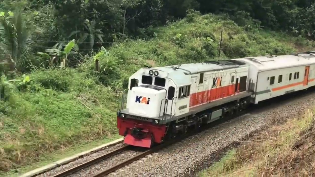 KERETA API PANJANG ‼️ MENEMUKAN 20 KERETA API NGEBUT DI TIKUNGAN