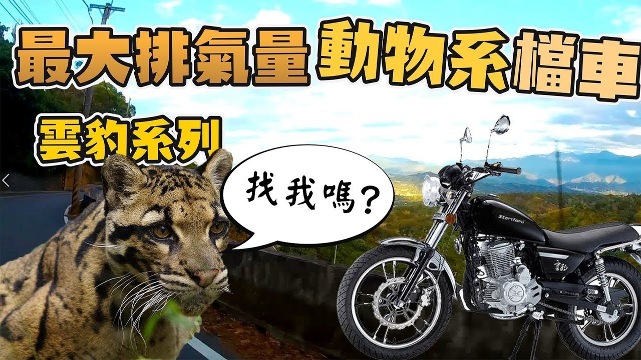 最大排氣量的動物系 150不夠200剛好223更優 雲豹系列
