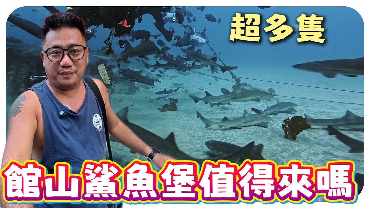 日本東京館山鯊魚堡17°C潛水體驗!!!  潛水員必知一天只能去一個點(Tateyama Shark City)! | Kokee的潛水世界 EP134