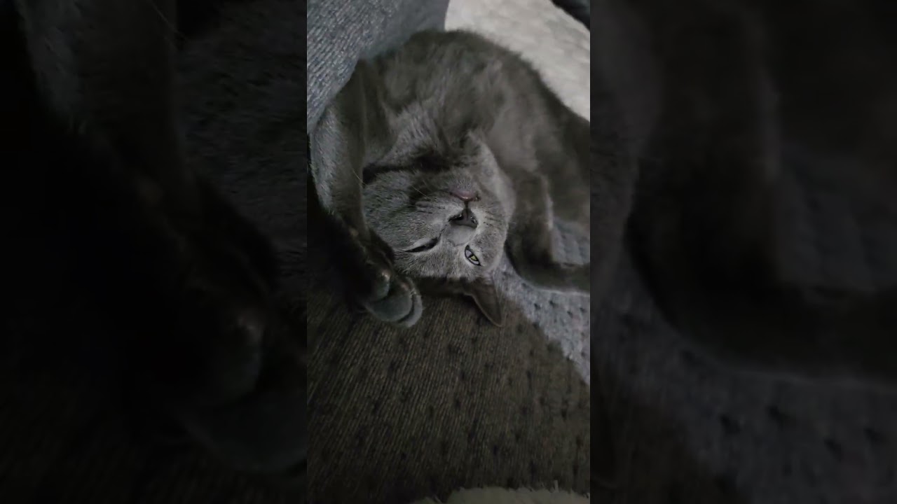 260215 꿈꾸며 자는 하나...눈에 집중!!ㄷㄷ